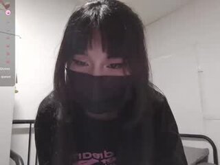 kitty_krush