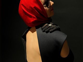 Camel_lia